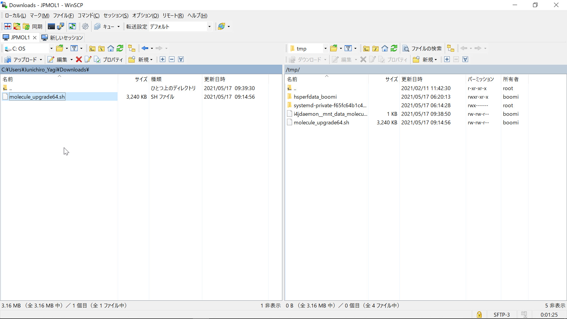 Article Japanese Practical Guide, Upgrade guide for ‘Update to use Java 11.0.8.10.1’ Boomi