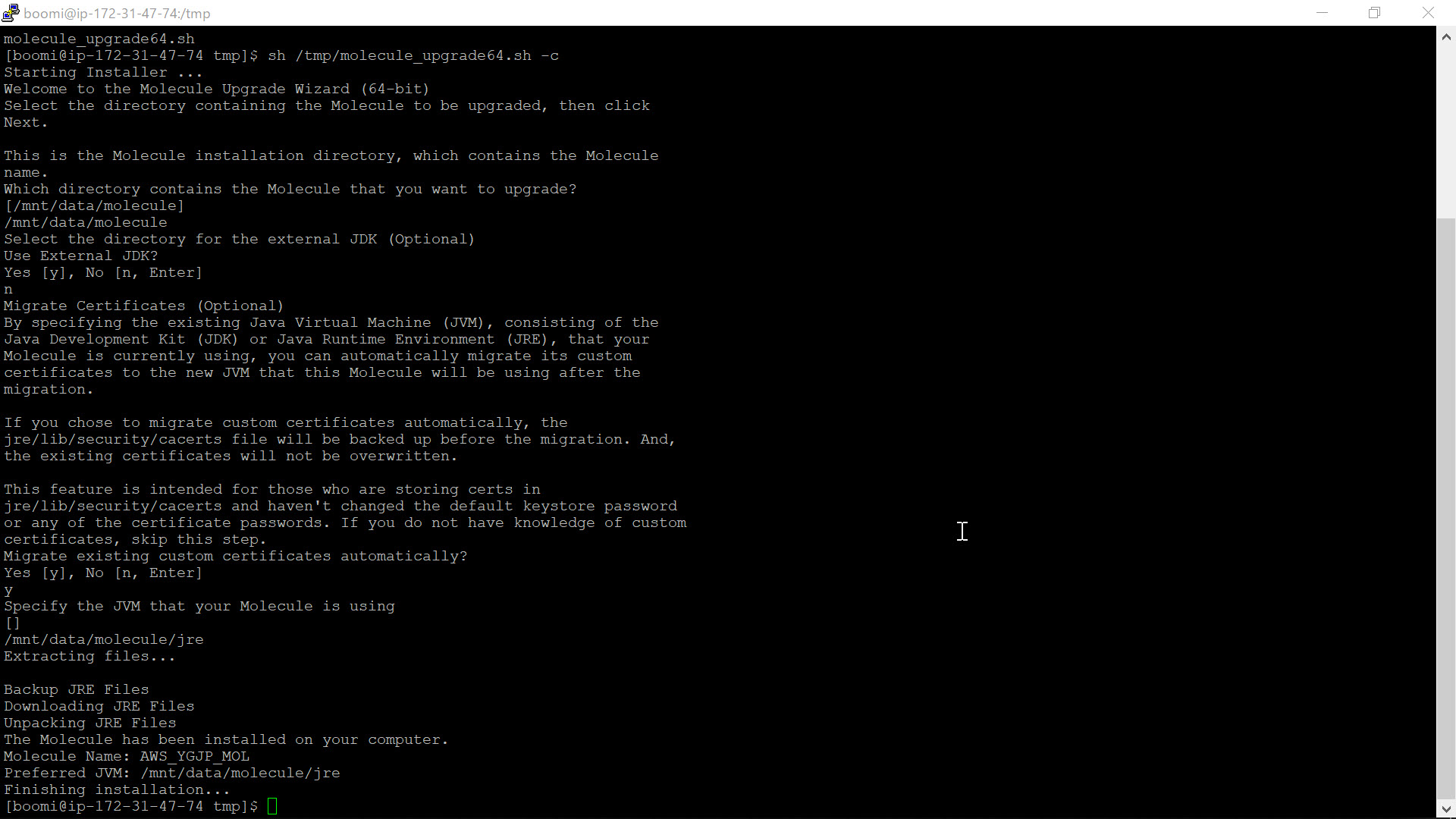 Article Japanese Practical Guide, Upgrade guide for ‘Update to use Java 11.0.8.10.1’ Boomi